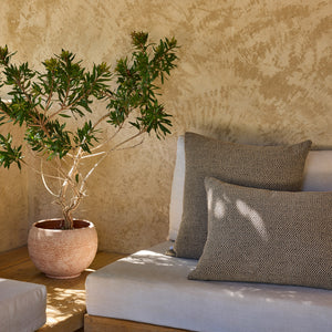 Sisal Experience