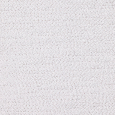 LAZO Snow Sample