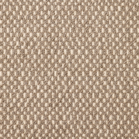 POCU Dune Sample
