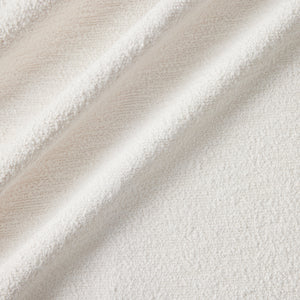 LAZO Snow Sample